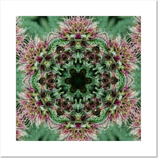 Herbal Mandala Posters and Art